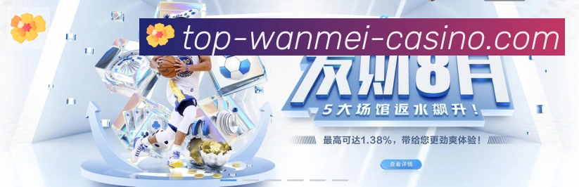 未来规划
